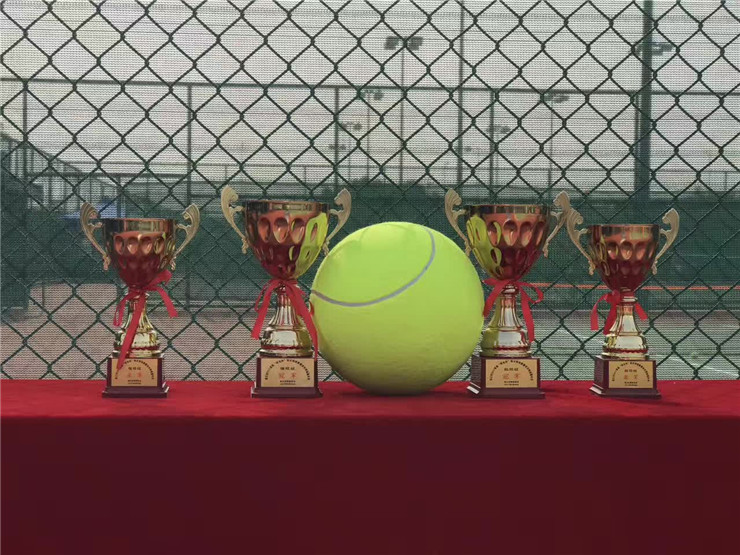 湛江市2017首届“阳光杯”短式网球赛暨欢乐网球嘉年华(图14)